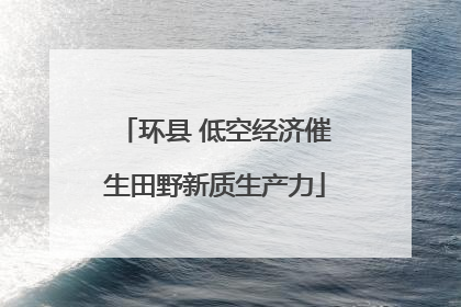 环县 低空经济催生田野新质生产力