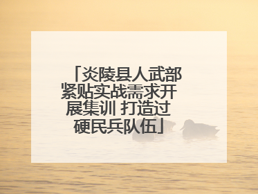 炎陵县人武部紧贴实战需求开展集训 打造过硬民兵队伍