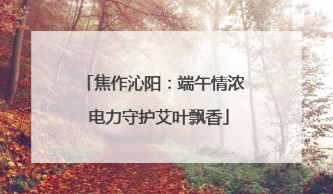 焦作沁阳：端午情浓 电力守护艾叶飘香