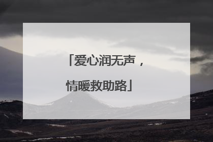 爱心润无声，情暖救助路