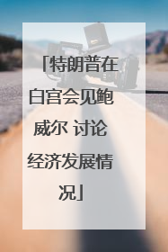 特朗普在白宫会见鲍威尔 讨论经济发展情况