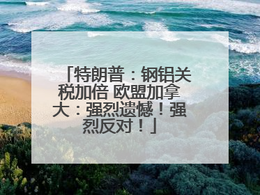 特朗普：钢铝关税加倍 欧盟加拿大：强烈遗憾！强烈反对！