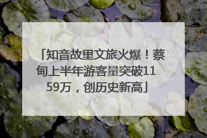 知音故里文旅火爆！蔡甸上半年游客量突破1159万，创历史新高