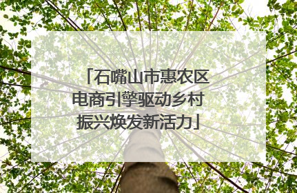 石嘴山市惠农区电商引擎驱动乡村振兴焕发新活力