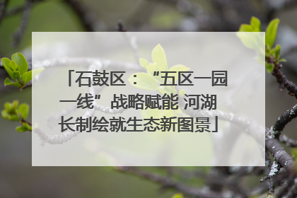 石鼓区：“五区一园一线”战略赋能 河湖长制绘就生态新图景