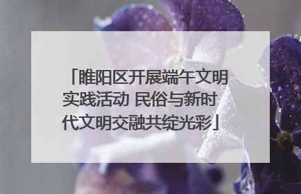 睢阳区开展端午文明实践活动 民俗与新时代文明交融共绽光彩