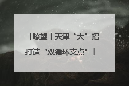 瞭望丨天津“大”招打造“双循环支点”