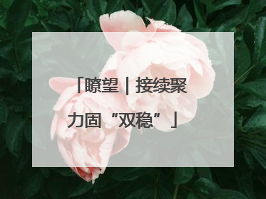 瞭望｜接续聚力固“双稳”