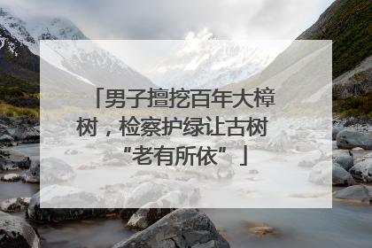 男子擅挖百年大樟树，检察护绿让古树“老有所依”