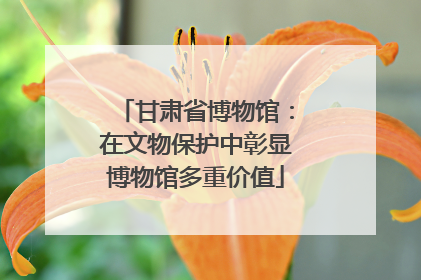 甘肃省博物馆：在文物保护中彰显博物馆多重价值