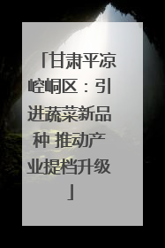 甘肃平凉崆峒区：引进蔬菜新品种 推动产业提档升级