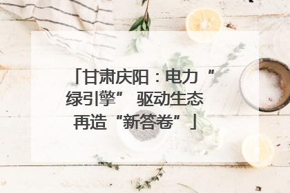 甘肃庆阳：电力“绿引擎” 驱动生态再造“新答卷”