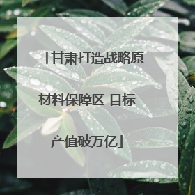 甘肃打造战略原材料保障区 目标产值破万亿