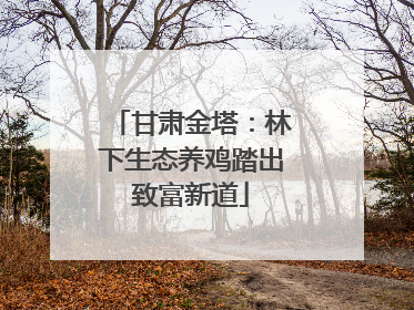 甘肃金塔：林下生态养鸡踏出致富新道