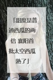 甜度是普通西瓜的两倍 襄阳首批太空西瓜熟了