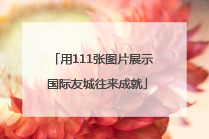 用111张图片展示国际友城往来成就