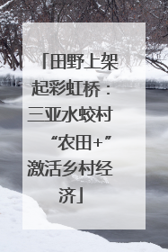 田野上架起彩虹桥：三亚水蛟村“农田+”激活乡村经济