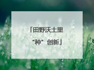 田野沃土里“种”创新