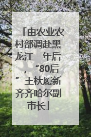 由农业农村部调赴黑龙江一年后，“80后”王杕履新齐齐哈尔副市长