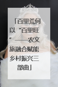 百里荒何以“百里旺”——农文旅融合赋能乡村振兴三部曲