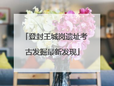登封王城岗遗址考古发掘最新发现