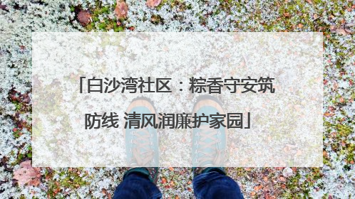 白沙湾社区：粽香守安筑防线 清风润廉护家园