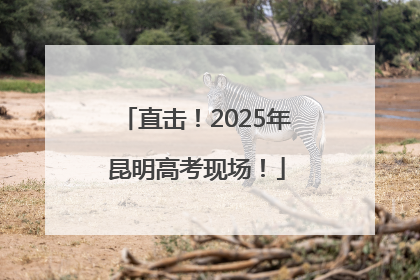 直击！2025年昆明高考现场！