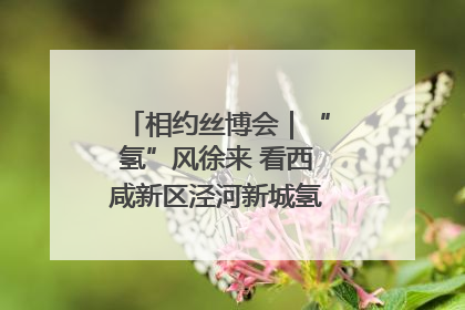 相约丝博会｜“氢”风徐来 看西咸新区泾河新城氢能产业聚链成势