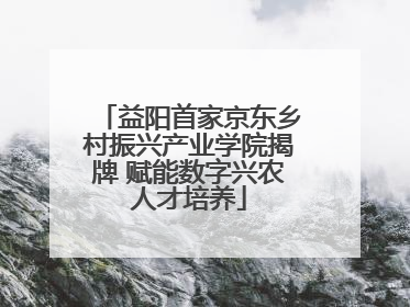 益阳首家京东乡村振兴产业学院揭牌 赋能数字兴农人才培养