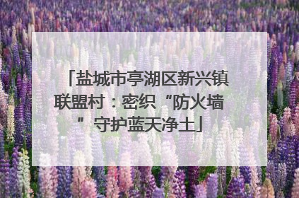 盐城市亭湖区新兴镇联盟村：密织“防火墙”守护蓝天净土
