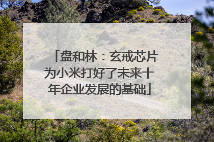 盘和林：玄戒芯片为小米打好了未来十年企业发展的基础