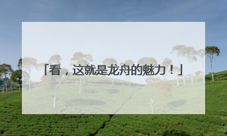 看，这就是龙舟的魅力！