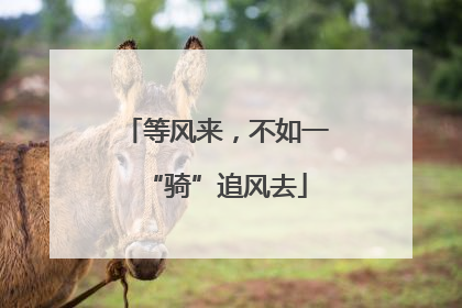 等风来，不如一“骑”追风去