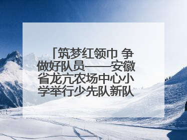 筑梦红领巾 争做好队员——安徽省龙亢农场中心小学举行少先队新队员入队仪式