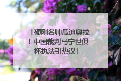 硬刚名帅瓜迪奥拉！中国裁判马宁世俱杯执法引热议