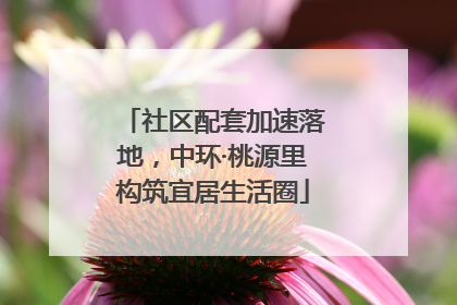 社区配套加速落地，中环·桃源里构筑宜居生活圈
