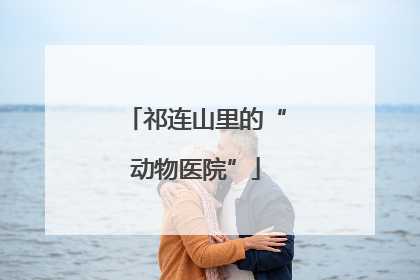 祁连山里的“动物医院”
