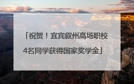 祝贺！宜宾叙州高场职校4名同学获得国家奖学金
