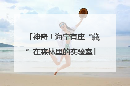 神奇！海宁有座“藏”在森林里的实验室