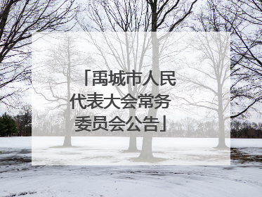 禹城市人民代表大会常务委员会公告