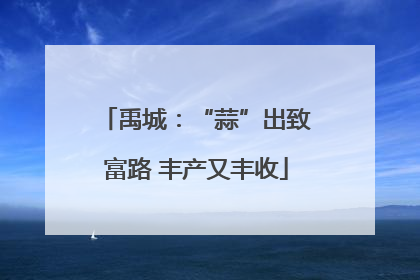 禹城：“蒜”出致富路 丰产又丰收