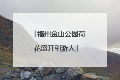 福州金山公园荷花盛开引游人