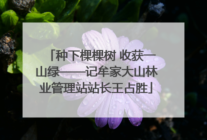 种下棵棵树 收获一山绿——记牟家大山林业管理站站长王占胜