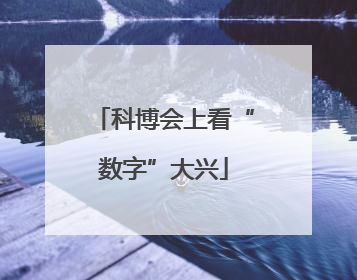 科博会上看“数字”大兴