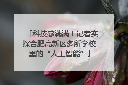科技感满满！记者实探合肥高新区多所学校里的“人工智能”
