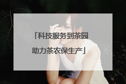 科技服务到茶园 助力茶农保生产