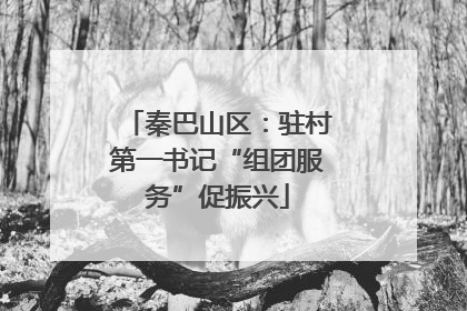 秦巴山区：驻村第一书记“组团服务”促振兴