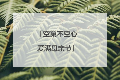 空巢不空心 爱满母亲节