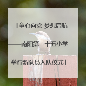 童心向党 梦想启航——南阳第二十五小学举行新队员入队仪式