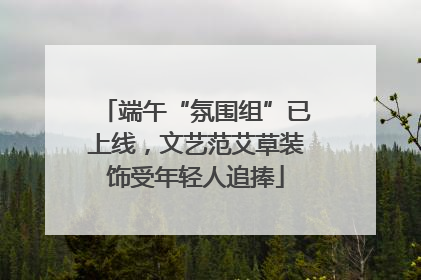 端午“氛围组”已上线，文艺范艾草装饰受年轻人追捧